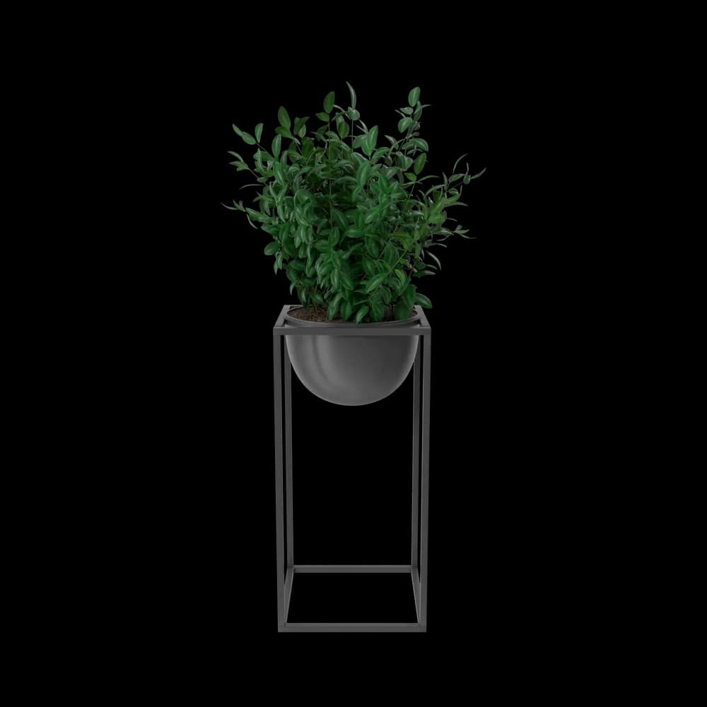 H&M Home Horizon Olive Tree Artificial Plant, image 1 of 2