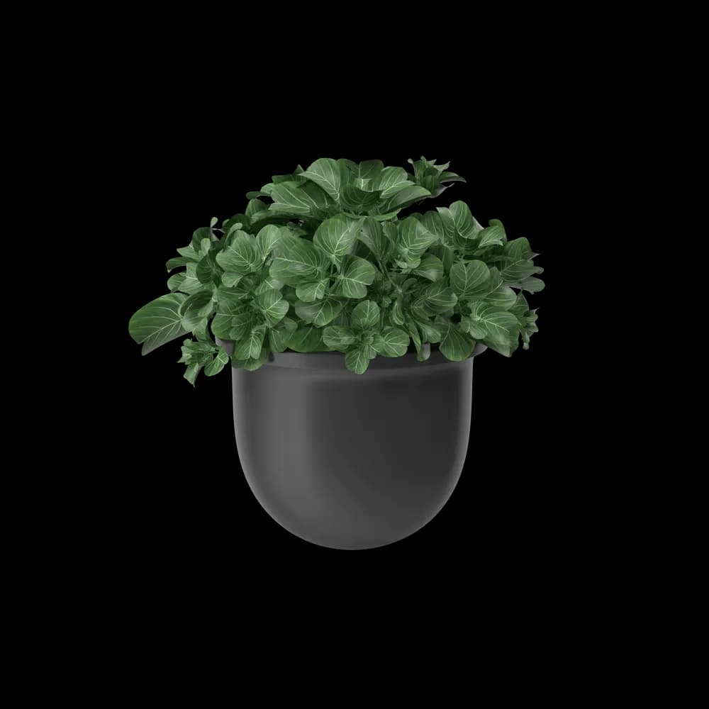 Umbra Rift Glass Vase, image 1 of 4
